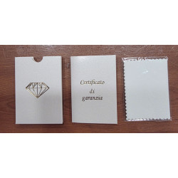 Garanzia con pannetto pulisci gioielli